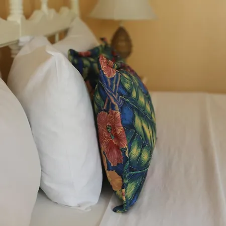 Moonrisevillas Negril Room photo
