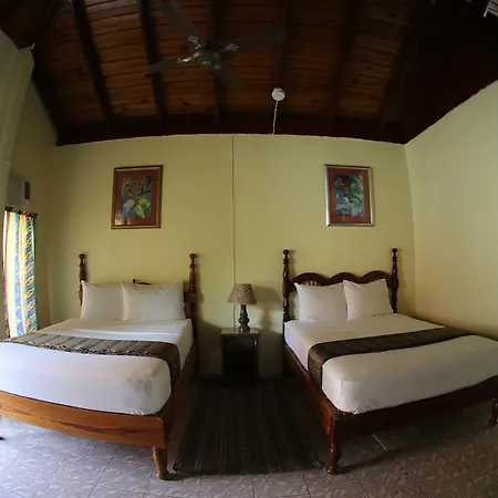 Moonrisevillas Negril Room photo